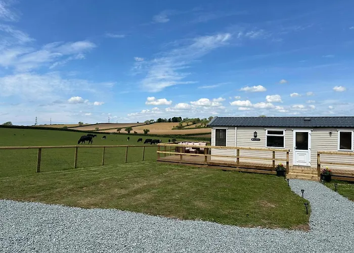 Paddock View